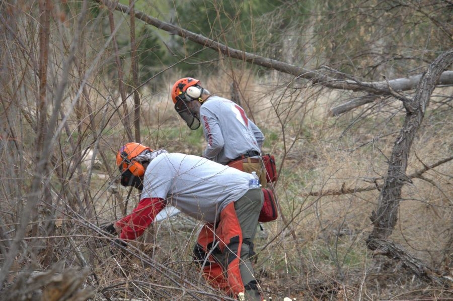 Disaster team deploys to Moab for wildfire mitigation