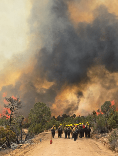 How to prepare for wildfire evacuations and other emergencies