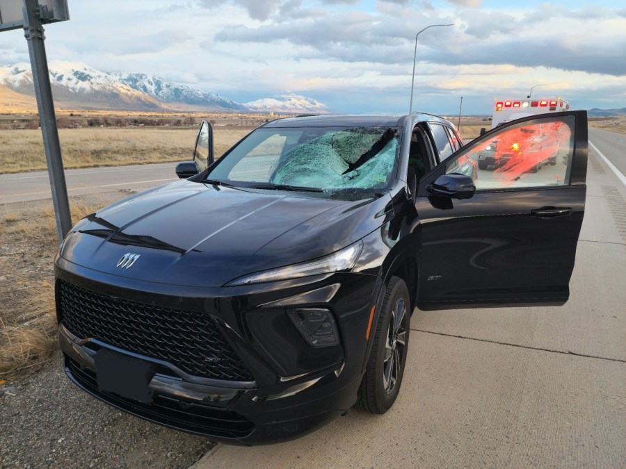 Turkey dies after crashing through windshield, injuring driver on I-15