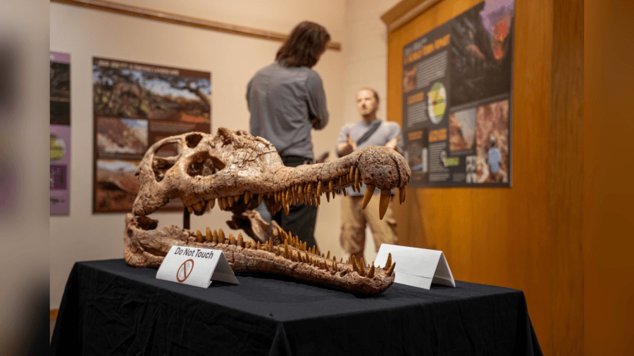 Zion museum's new temporary exhibit delves into research on end-Triassic extinction
