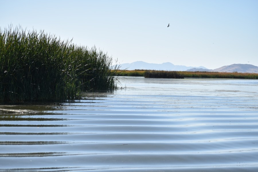 New monitoring plan announced to learn more about Great Salt Lake dust, inform public
