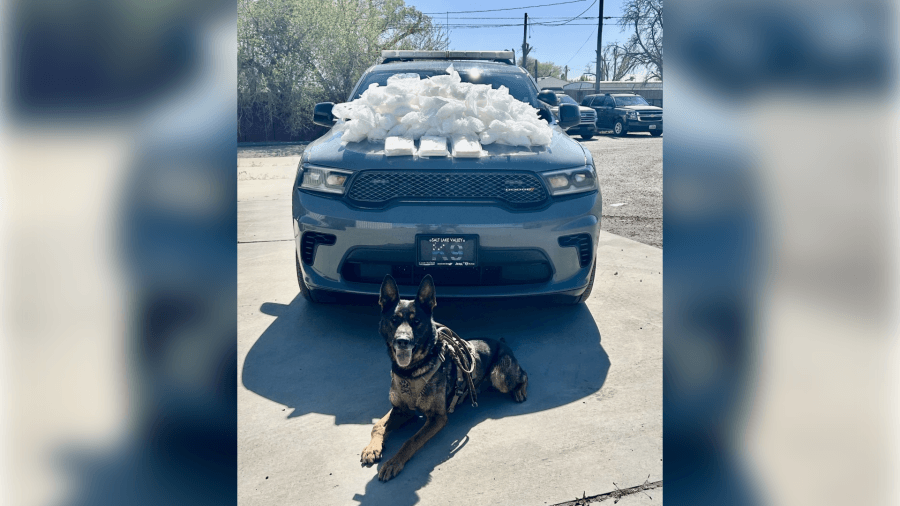 Emery County K-9 makes 107-pound meth bust over Easter weekend