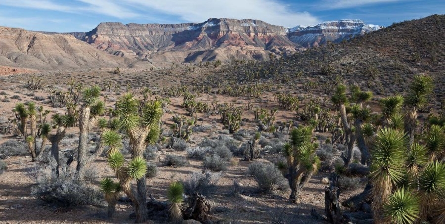 Sale of Utah's public lands dropped from ‘big beautiful bill'