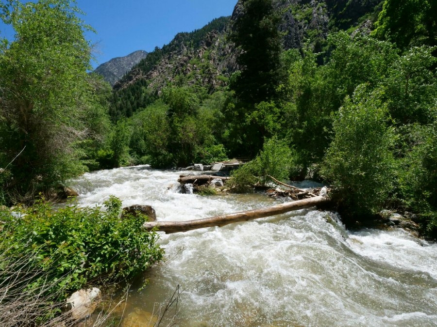 Water rescue underway at Big Cottonwood Creek