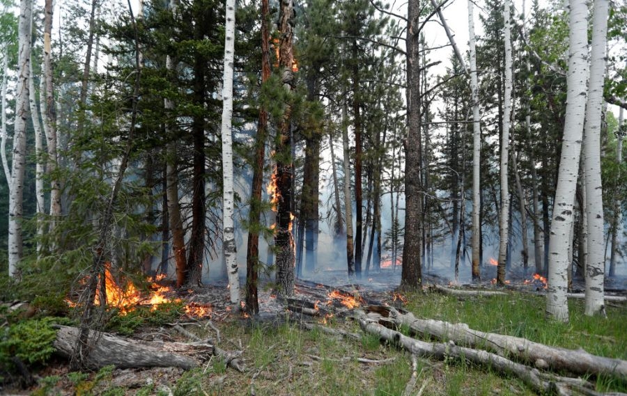 Gov. Spencer Cox signs executive order to address Utah wildfires before they begin