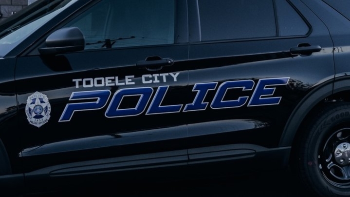 Tooele man arrested after shooting, killing his two dogs while on LSD