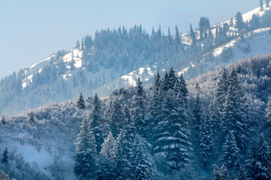 Snow showers return Saturday, but drier and much warmer weather expected Sunday