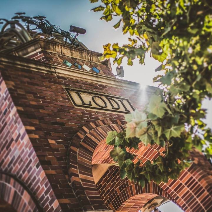 City of Lodi releases new financial report