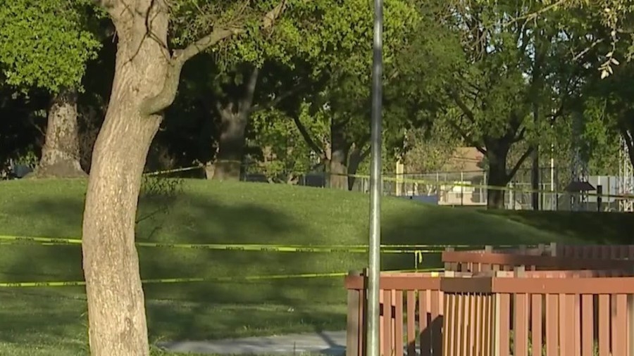 Davis police arrest one in connection with Picnic Day shooting