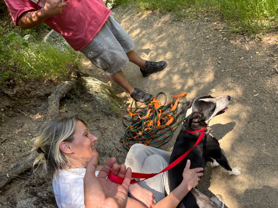 Hiking couple rescues dog from Yuba River