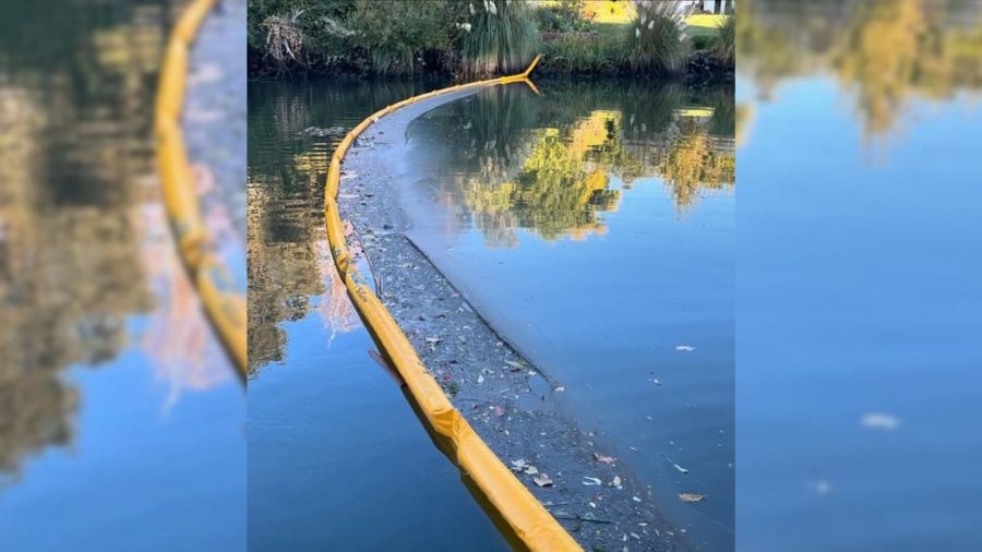 Arrest made in the illegal petroleum dumping near the Smith Canal Waterway