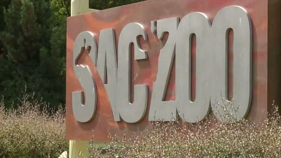 Elk Grove zoo project will not move forward, Sacramento Zoo says
