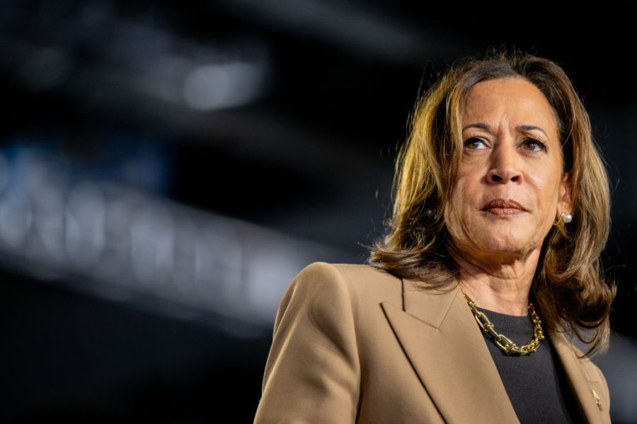 Tara Palmeri says Democrats would be ‘crazy' to run Harris for president again