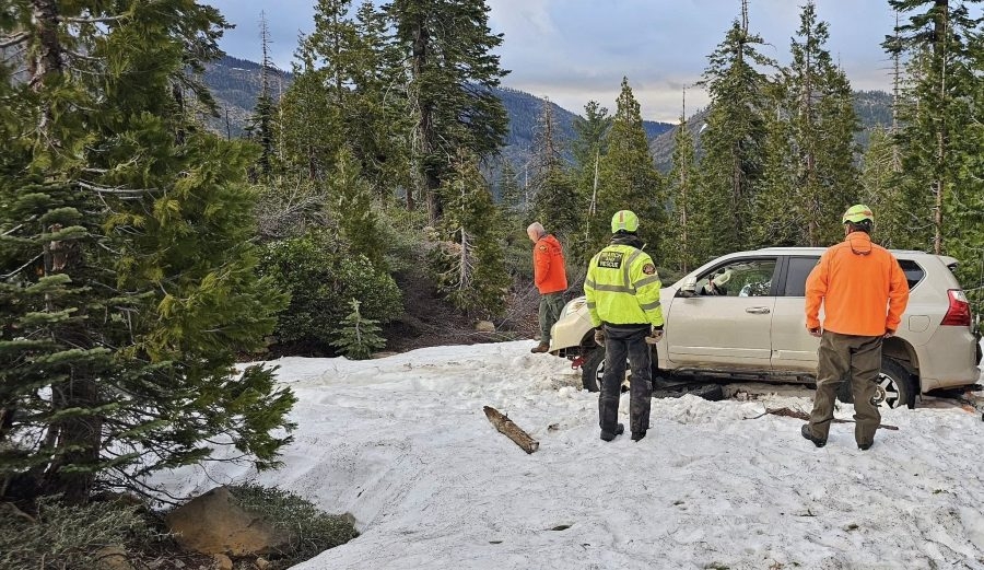 Motorist rescued near Weaver Lake