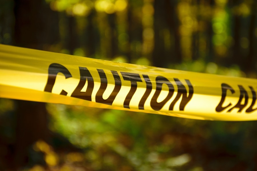 2 dead in fatal tree crash on Eureka Road
