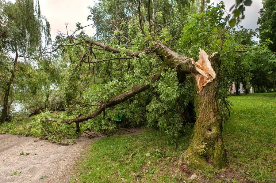 Bell County Emergency Management assessing storm damage