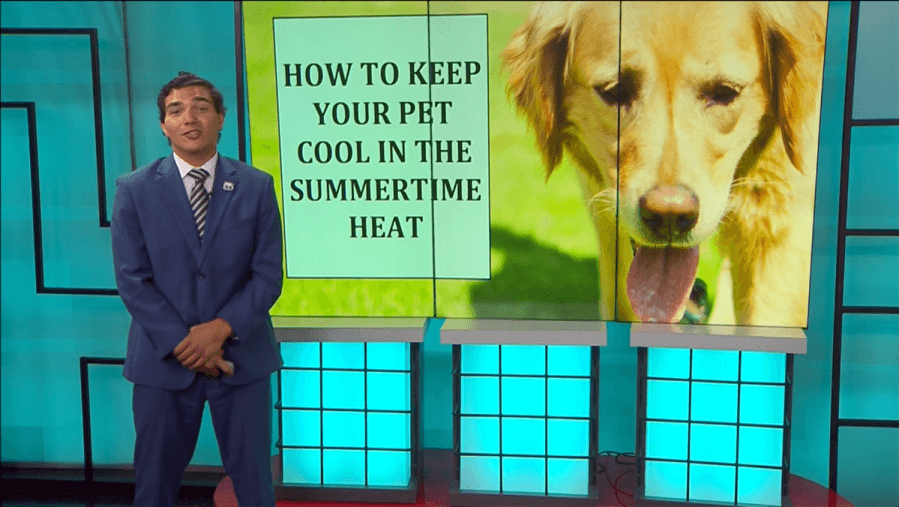 Weather Whys: Heat and Pet Safety with Meteorologist Zavian Colón
