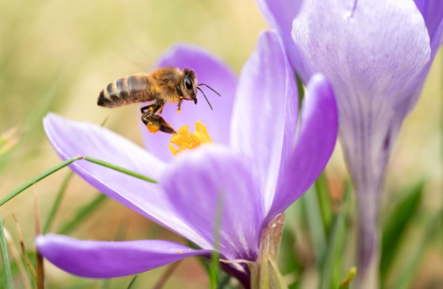 Spring Break events in Bell County