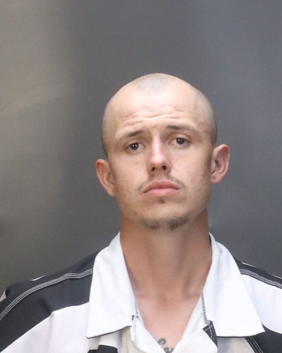 Man faces animal cruelty charge after kitten thrown on roof