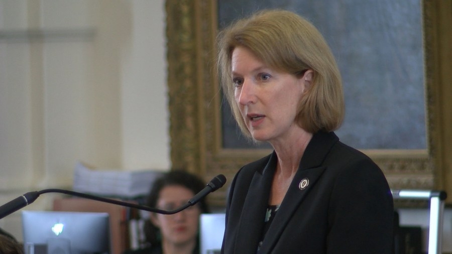 Democratic Rep. Vikki Goodwin to run for Texas lieutenant governor