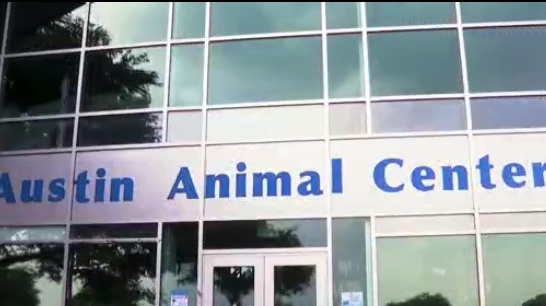 Austin city council to vote on animal services strategic plan Thursday
