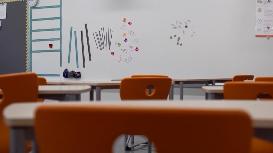 Texas Senate passes bill to eliminate DEI in K-12 schools