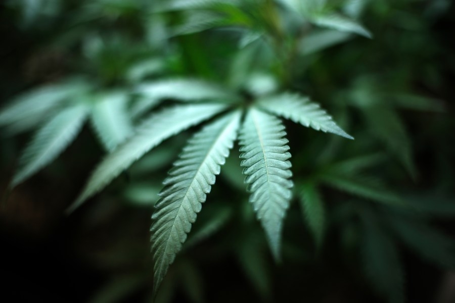 Lawmakers hope to expand medical marijuana program as state bans intoxicating hemp products