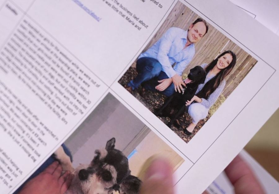 Dog daycare, boarding deaths prompt push to protect pets from negligence under Texas law