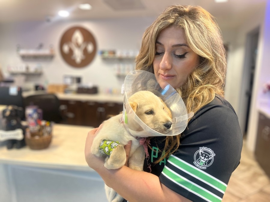 ‘I literally cry with every single dog': Street dog rescue saves more than 1,000 Texas animals