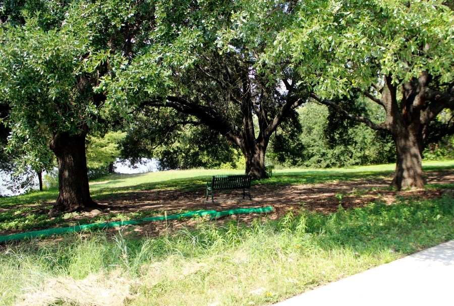 Shade in Austin: Is it the same for everyone?