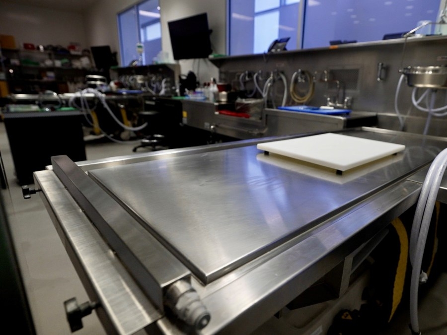 Texas medical examiner expansion bill misses midnight House approval, but interim proposal could revive it