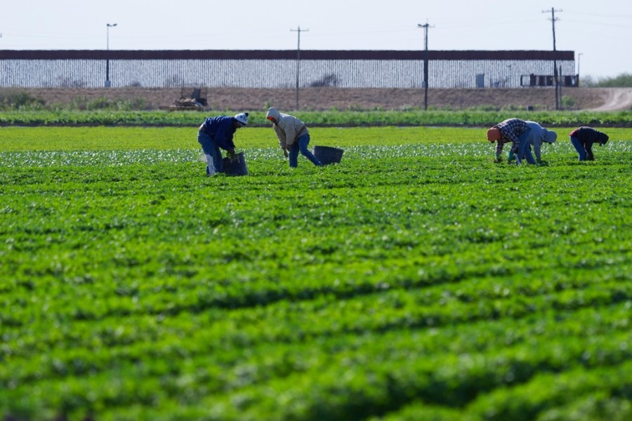 Texas farmers and contractors warn that Trump deportations could harm industries
