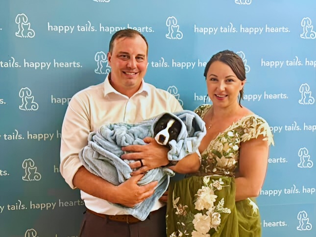 Couple adds new furry family member on their wedding day