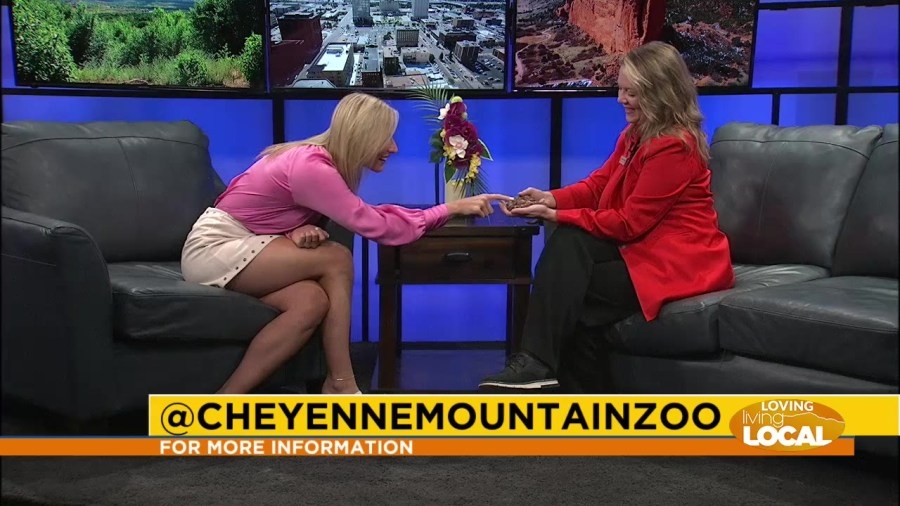 Celebrate Father's Day and summer events at Cheyenne Mountain Zoo
