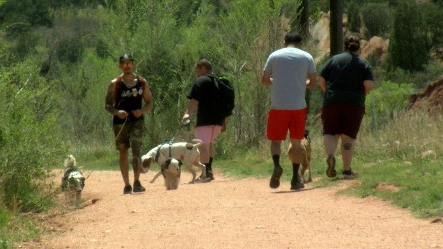 Petition calls for stricter enforcement of pet leash laws
