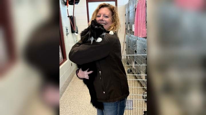 Cat reunited with family after Meridian Fire