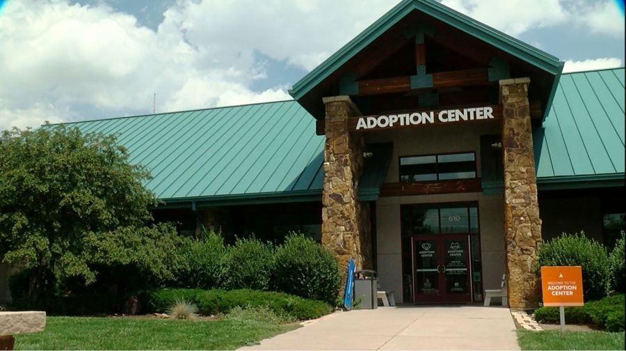 HSPPR limits dog intakes amid rising contagious Strep zoo cases