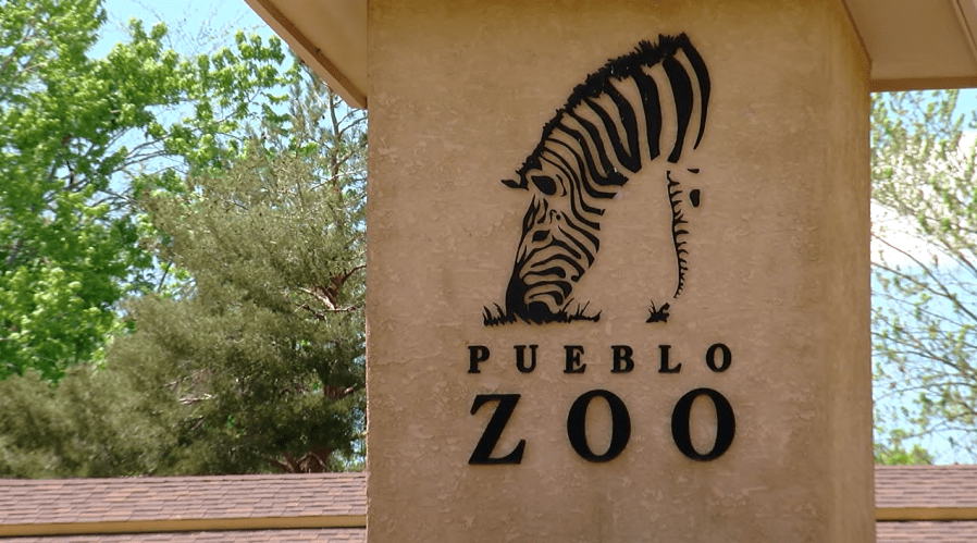 Pueblo Zoo denies closure rumors despite budget constraints