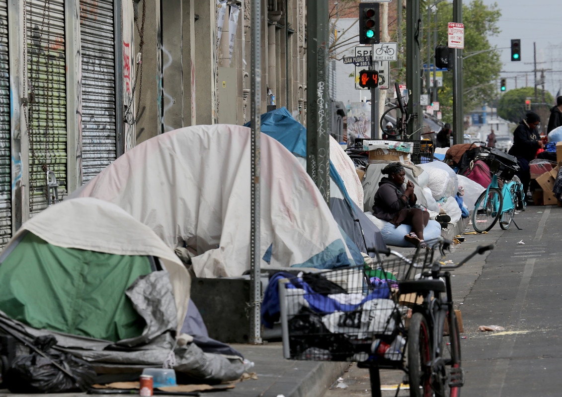 Dogs Are Dying On Skid Row and City Officials Are Letting It Happen, Animal Activist Says