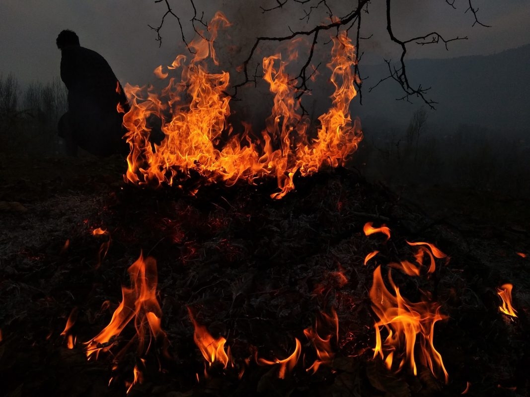 SoCal Edison Agrees to Staggering $82.5 Million Settlement Connected to Bobcat Fire