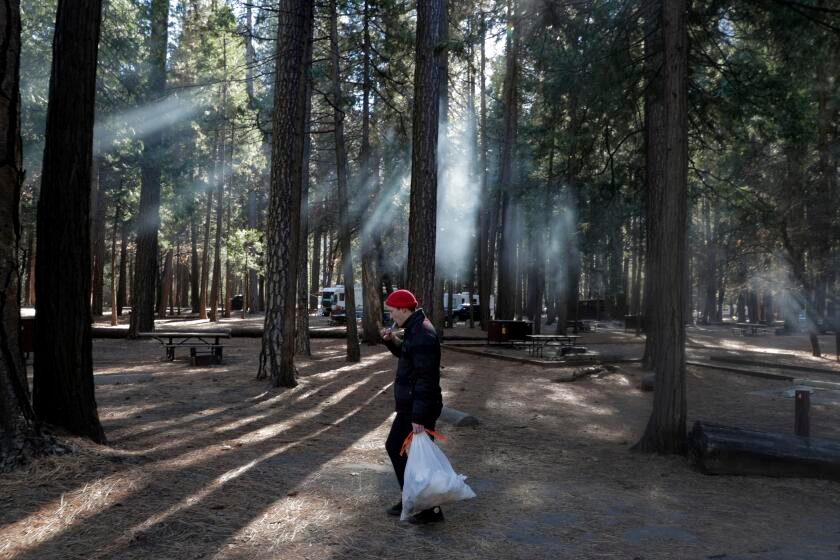 All of Yosemite's campgrounds will be open this summer for the first time since 2019