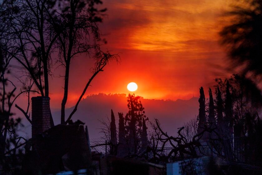 $14.3 million in fire relief grants roll out to artists thanks to Getty-led museum fund