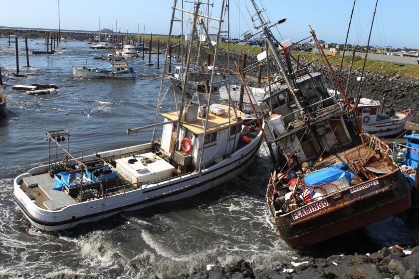 These California coastal cities face heightened flood danger from tsunami, data show