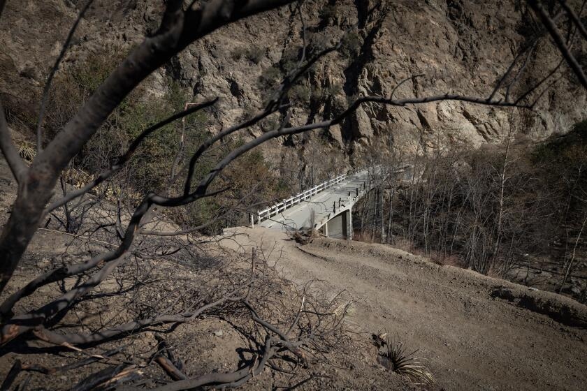 These 24 Angeles National Forest trails and campgrounds are closed following the Eaton fire