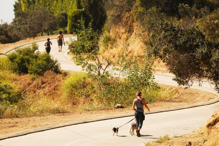 Couple confront a suspect on video after they spot him near a burning tree in Runyon Canyon
