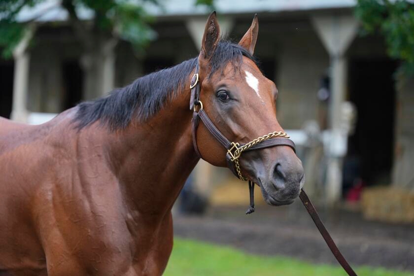 Journalism wins the $1 million Haskell Stakes to earn trip to Breeders' Cup