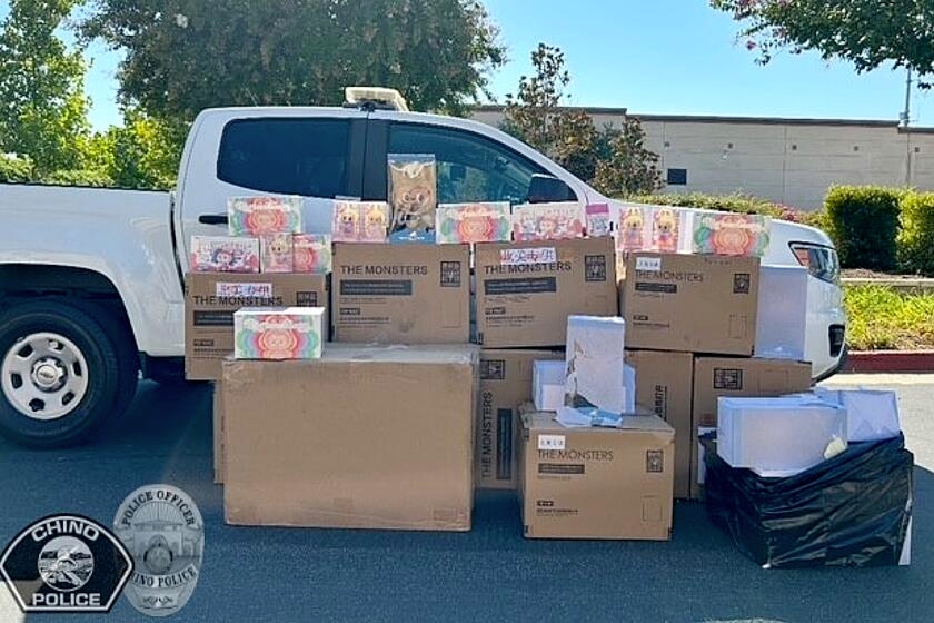 $30,000 worth of Labubus headed for black market recovered from SoCal home
