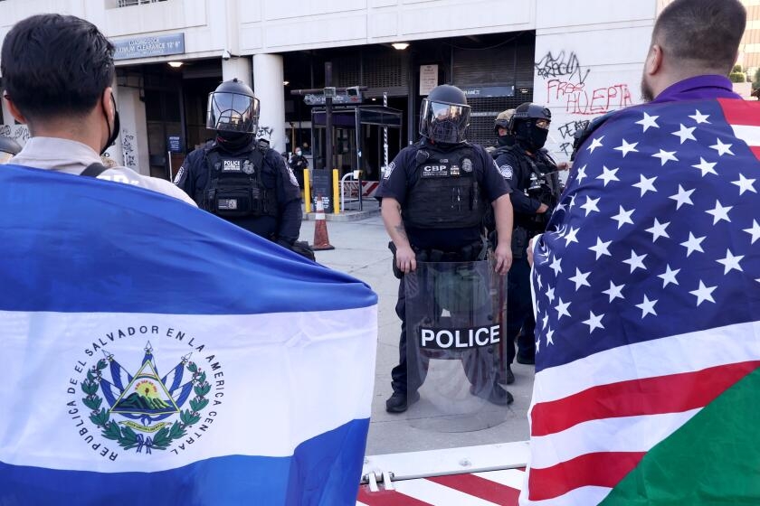 These are some of the people flying flags during Los Angeles protests, and why they do it