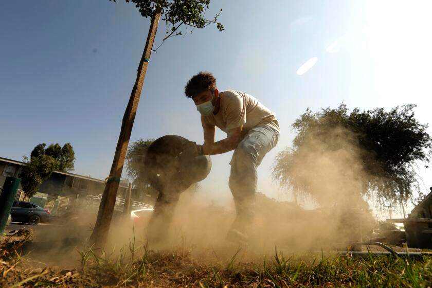 A forest the size of North America would be needed to offset Big Oil's reserves, study finds