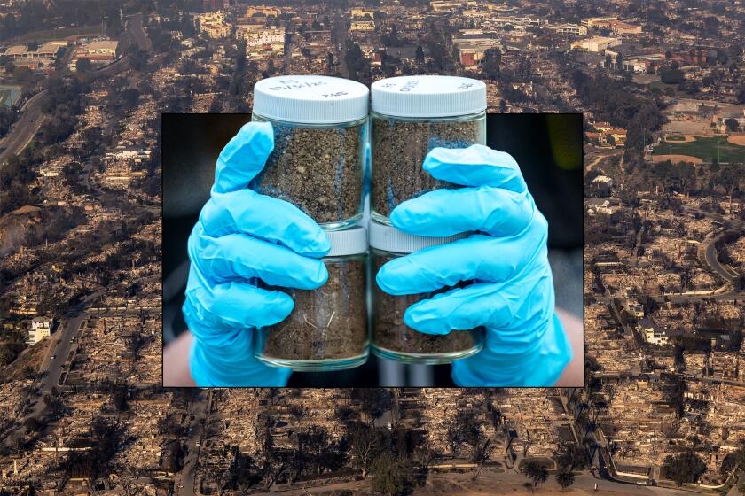 How we tested the soil in Altadena and Pacific Palisades